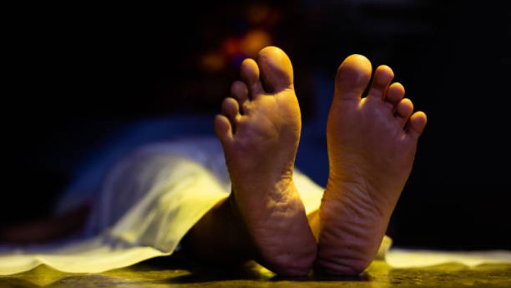 https://salarnews.in/public/uploads/images/newsimages/maannewsimage07082025_221913_728x410 Design (29).png